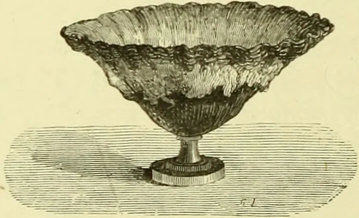 An illustration from The royal cookery book (le livre de cuisine) / by Jules Gouffé ; translated from the French and adapted for English use by Alphonse Gouffé ... comprising domestic and high-class cookery, illustrated with sixteen large plates printed in colours, and one hundred and sixty-one woodcuts from drawings from nature by E. Ronjat., 1883, leaf 510