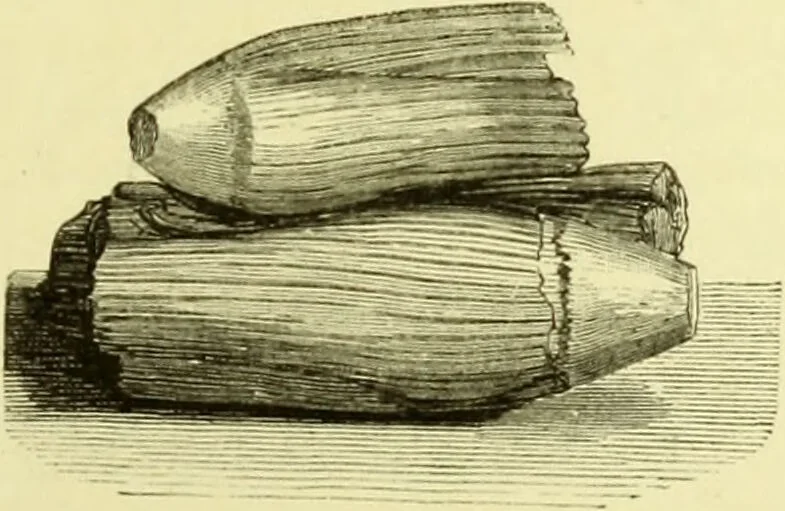 An illustration from The royal cookery book (le livre de cuisine) / by Jules Gouffé ; translated from the French and adapted for English use by Alphonse Gouffé ... comprising domestic and high-class cookery, illustrated with sixteen large plates printed in colours, and one hundred and sixty-one woodcuts from drawings from nature by E. Ronjat., 1883, leaf 533