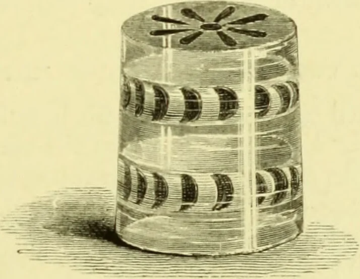 An illustration from The royal cookery book (le livre de cuisine) / by Jules Gouffé ; translated from the French and adapted for English use by Alphonse Gouffé ... comprising domestic and high-class cookery, illustrated with sixteen large plates printed in colours, and one hundred and sixty-one woodcuts from drawings from nature by E. Ronjat., 1883, leaf 553