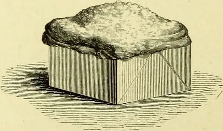An illustration from The royal cookery book (le livre de cuisine) / by Jules Gouffé ; translated from the French and adapted for English use by Alphonse Gouffé ... comprising domestic and high-class cookery, illustrated with sixteen large plates printed in colours, and one hundred and sixty-one woodcuts from drawings from nature by E. Ronjat., 1883, leaf 624