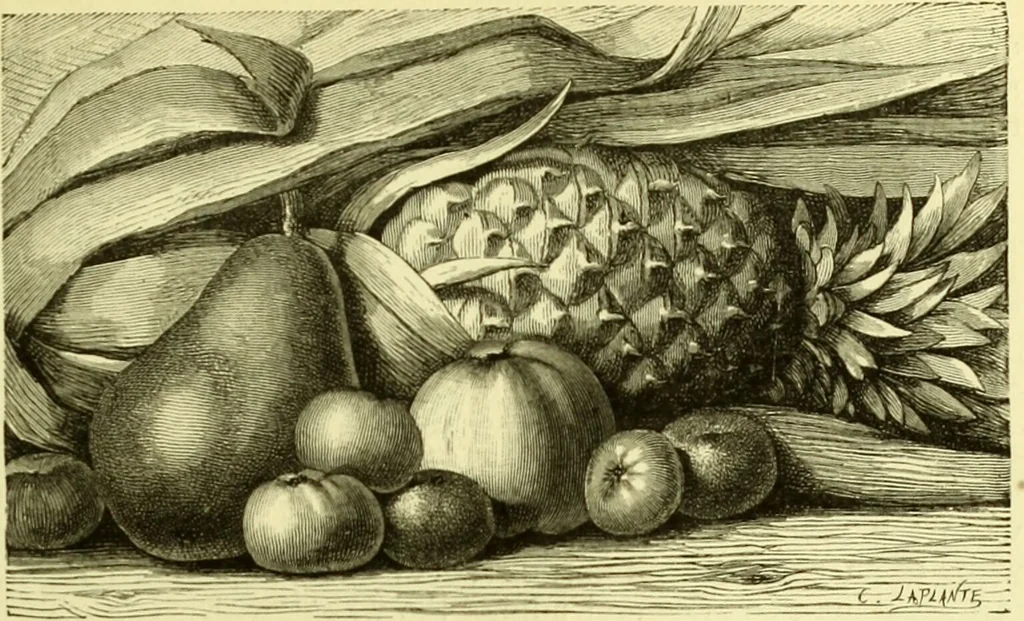 An illustration from The royal cookery book (le livre de cuisine) / by Jules Gouffé ; translated from the French and adapted for English use by Alphonse Gouffé ... comprising domestic and high-class cookery, illustrated with sixteen large plates printed in colours, and one hundred and sixty-one woodcuts from drawings from nature by E. Ronjat., 1883, leaf 625