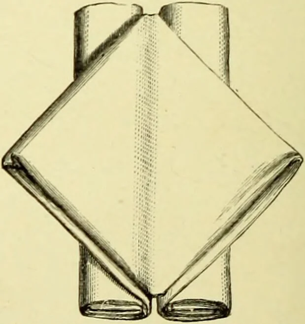 An illustration from The royal cookery book (le livre de cuisine) / by Jules Gouffé ; translated from the French and adapted for English use by Alphonse Gouffé ... comprising domestic and high-class cookery, illustrated with sixteen large plates printed in colours, and one hundred and sixty-one woodcuts from drawings from nature by E. Ronjat., 1883, leaf 654