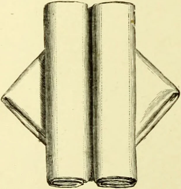 An illustration from The royal cookery book (le livre de cuisine) / by Jules Gouffé ; translated from the French and adapted for English use by Alphonse Gouffé ... comprising domestic and high-class cookery, illustrated with sixteen large plates printed in colours, and one hundred and sixty-one woodcuts from drawings from nature by E. Ronjat., 1883, leaf 654
