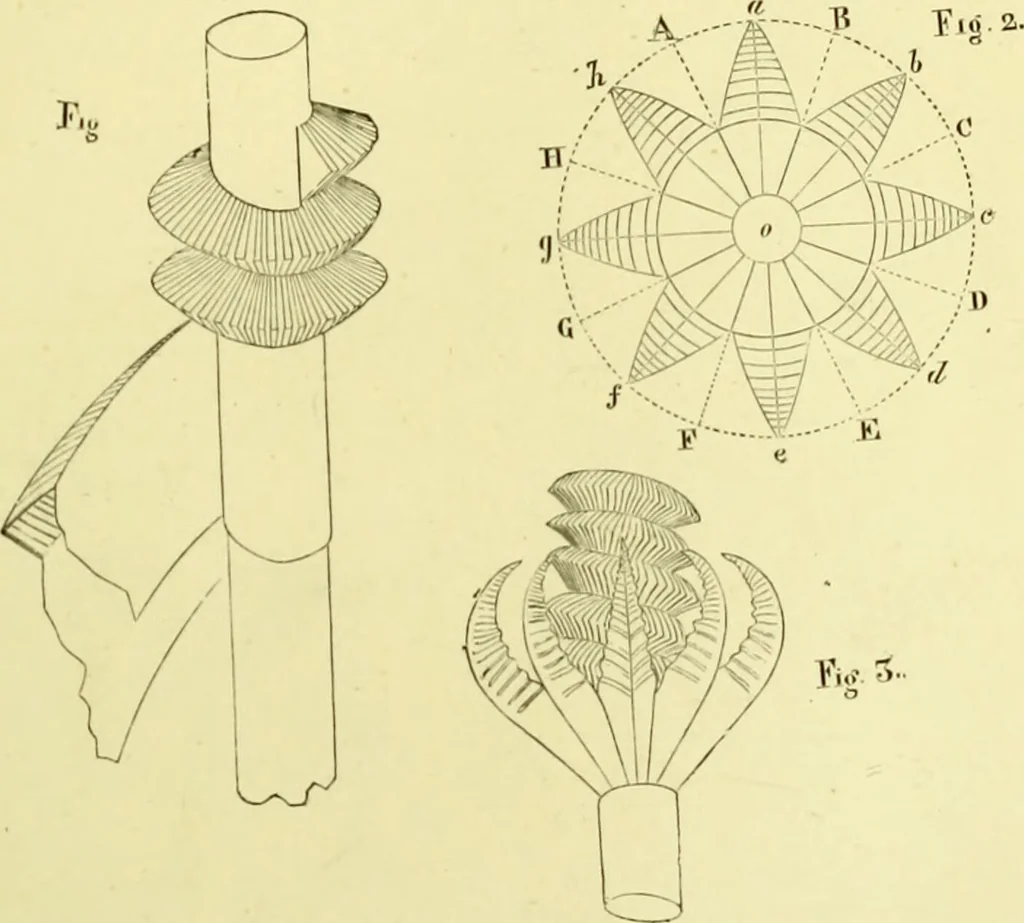 An illustration from The royal cookery book (le livre de cuisine) / by Jules Gouffé ; translated from the French and adapted for English use by Alphonse Gouffé ... comprising domestic and high-class cookery, illustrated with sixteen large plates printed in colours, and one hundred and sixty-one woodcuts from drawings from nature by E. Ronjat., 1883, leaf 657