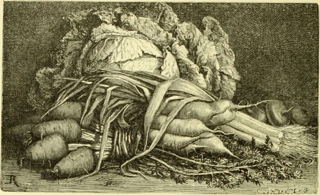 An illustration from The royal cookery book (le livre de cuisine) / by Jules Gouffé ; translated from the French and adapted for English use by Alphonse Gouffé ... comprising domestic and high-class cookery, illustrated with sixteen large plates printed in colours, and one hundred and sixty-one woodcuts from drawings from nature by E. Ronjat., 1883, leaf 78