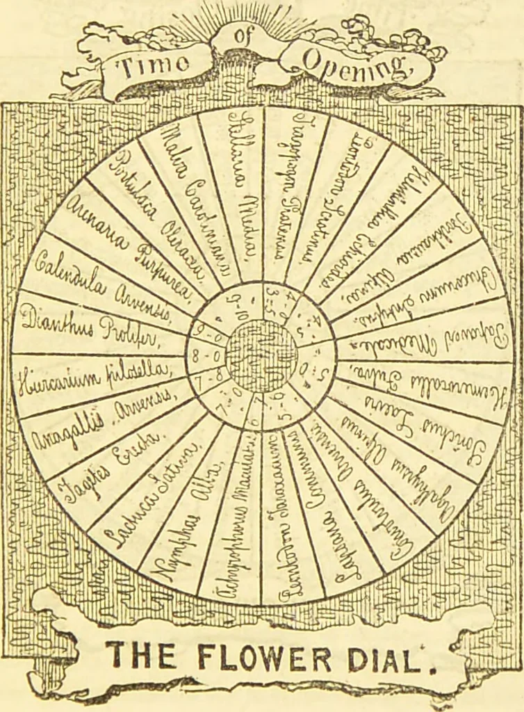 An illustration from The anatomy of sleep: or, the art of procuring sound and refreshing slumber at will / by Edward Binns., 1842, leaf 143