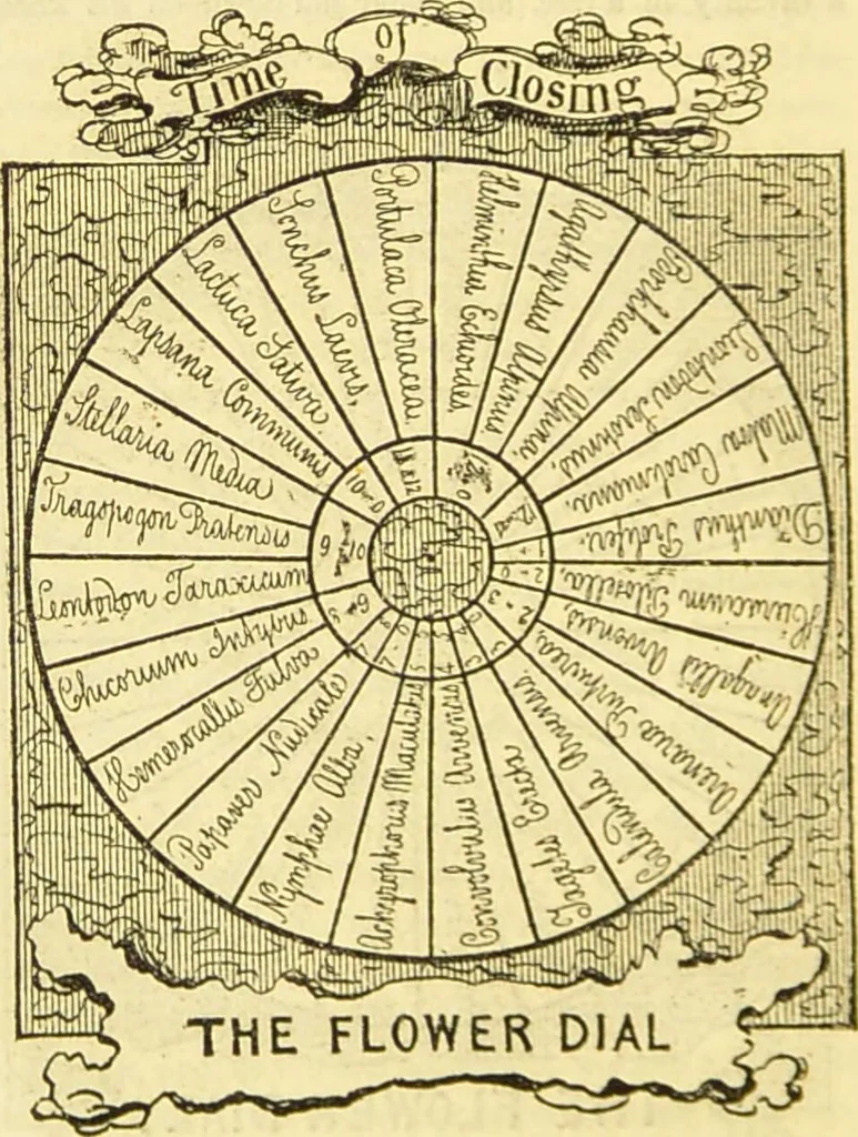 An illustration from The anatomy of sleep: or, the art of procuring sound and refreshing slumber at will / by Edward Binns., 1842, leaf 144
