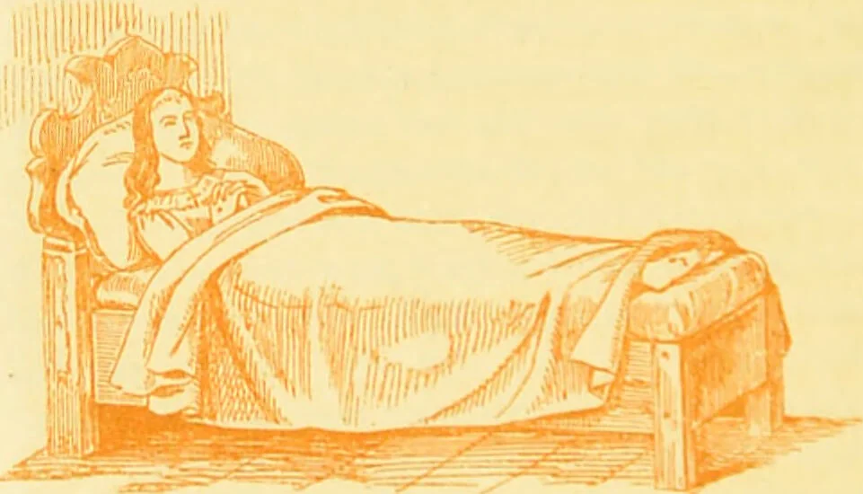 An illustration from The anatomy of sleep: or, the art of procuring sound and refreshing slumber at will / by Edward Binns., 1842, leaf 182