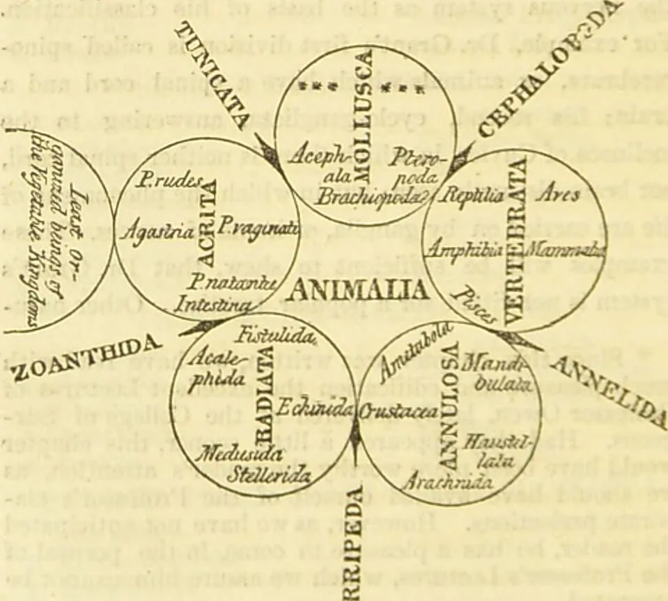 An illustration from The anatomy of sleep: or, the art of procuring sound and refreshing slumber at will / by Edward Binns., 1842, leaf 338