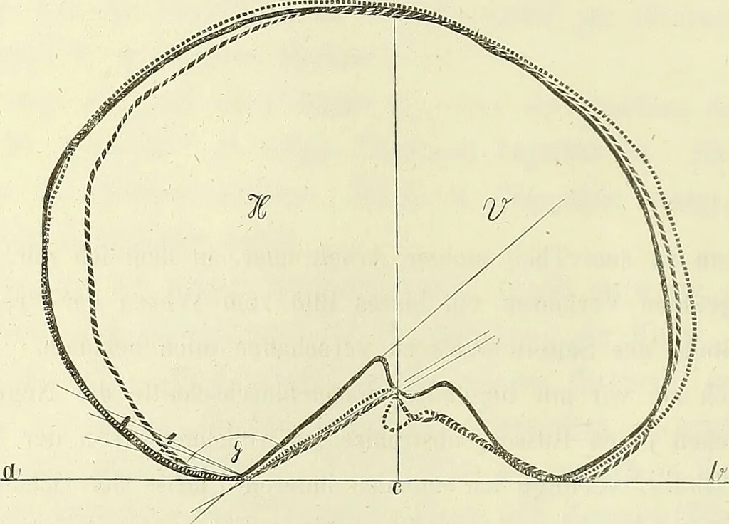 An illustration from Beitraege zur Craniologie / von Th. Landzert., 1867, leaf 18
