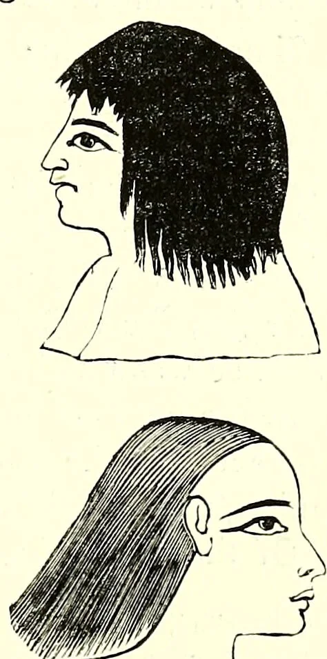 An illustration from Crania Aegyptiaca, or, Observations on Egyptian ethnography derived from anatomy, history and the monuments / by Samuel George Morton., 1844, leaf 31