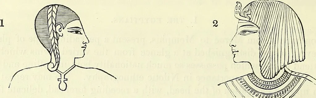 An illustration from Crania Aegyptiaca, or, Observations on Egyptian ethnography derived from anatomy, history and the monuments / by Samuel George Morton., 1844, leaf 42