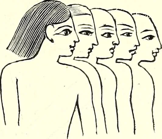 An illustration from Crania Aegyptiaca, or, Observations on Egyptian ethnography derived from anatomy, history and the monuments / by Samuel George Morton., 1844, leaf 43