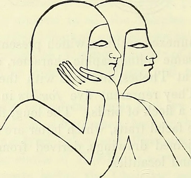 An illustration from Crania Aegyptiaca, or, Observations on Egyptian ethnography derived from anatomy, history and the monuments / by Samuel George Morton., 1844, leaf 44