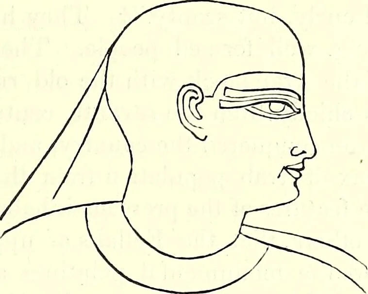 An illustration from Crania Aegyptiaca, or, Observations on Egyptian ethnography derived from anatomy, history and the monuments / by Samuel George Morton., 1844, leaf 49