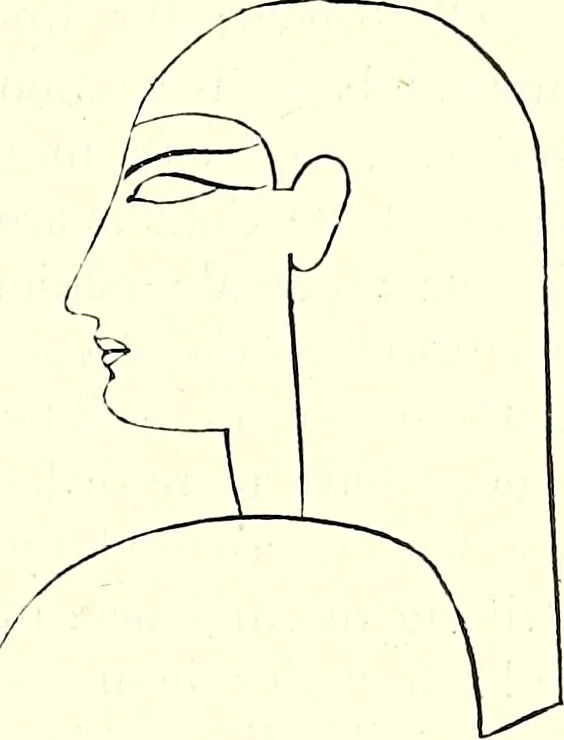 An illustration from Crania Aegyptiaca, or, Observations on Egyptian ethnography derived from anatomy, history and the monuments / by Samuel George Morton., 1844, leaf 49