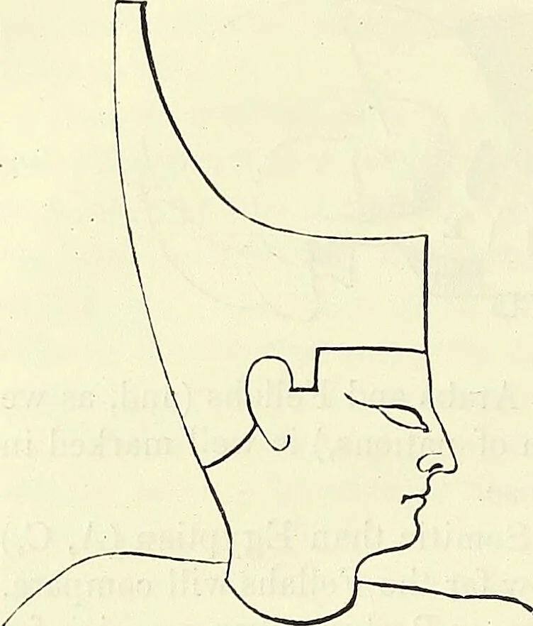 An illustration from Crania Aegyptiaca, or, Observations on Egyptian ethnography derived from anatomy, history and the monuments / by Samuel George Morton., 1844, leaf 52