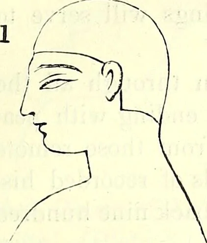 An illustration from Crania Aegyptiaca, or, Observations on Egyptian ethnography derived from anatomy, history and the monuments / by Samuel George Morton., 1844, leaf 53