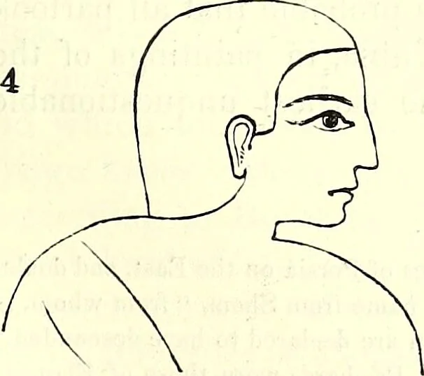 An illustration from Crania Aegyptiaca, or, Observations on Egyptian ethnography derived from anatomy, history and the monuments / by Samuel George Morton., 1844, leaf 53