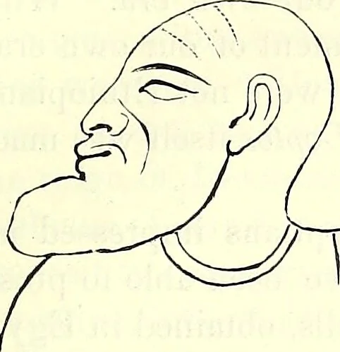 An illustration from Crania Aegyptiaca, or, Observations on Egyptian ethnography derived from anatomy, history and the monuments / by Samuel George Morton., 1844, leaf 55