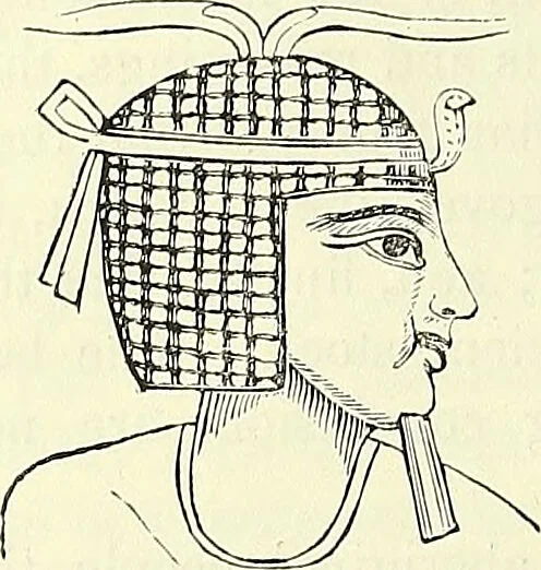 An illustration from Crania Aegyptiaca, or, Observations on Egyptian ethnography derived from anatomy, history and the monuments / by Samuel George Morton., 1844, leaf 58