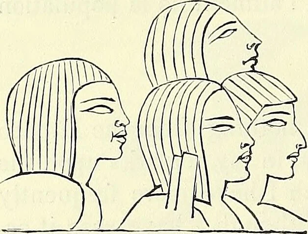 An illustration from Crania Aegyptiaca, or, Observations on Egyptian ethnography derived from anatomy, history and the monuments / by Samuel George Morton., 1844, leaf 58
