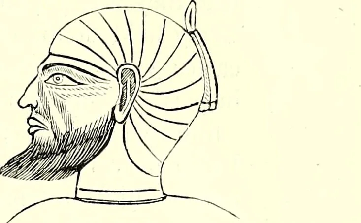 An illustration from Crania Aegyptiaca, or, Observations on Egyptian ethnography derived from anatomy, history and the monuments / by Samuel George Morton., 1844, leaf 63