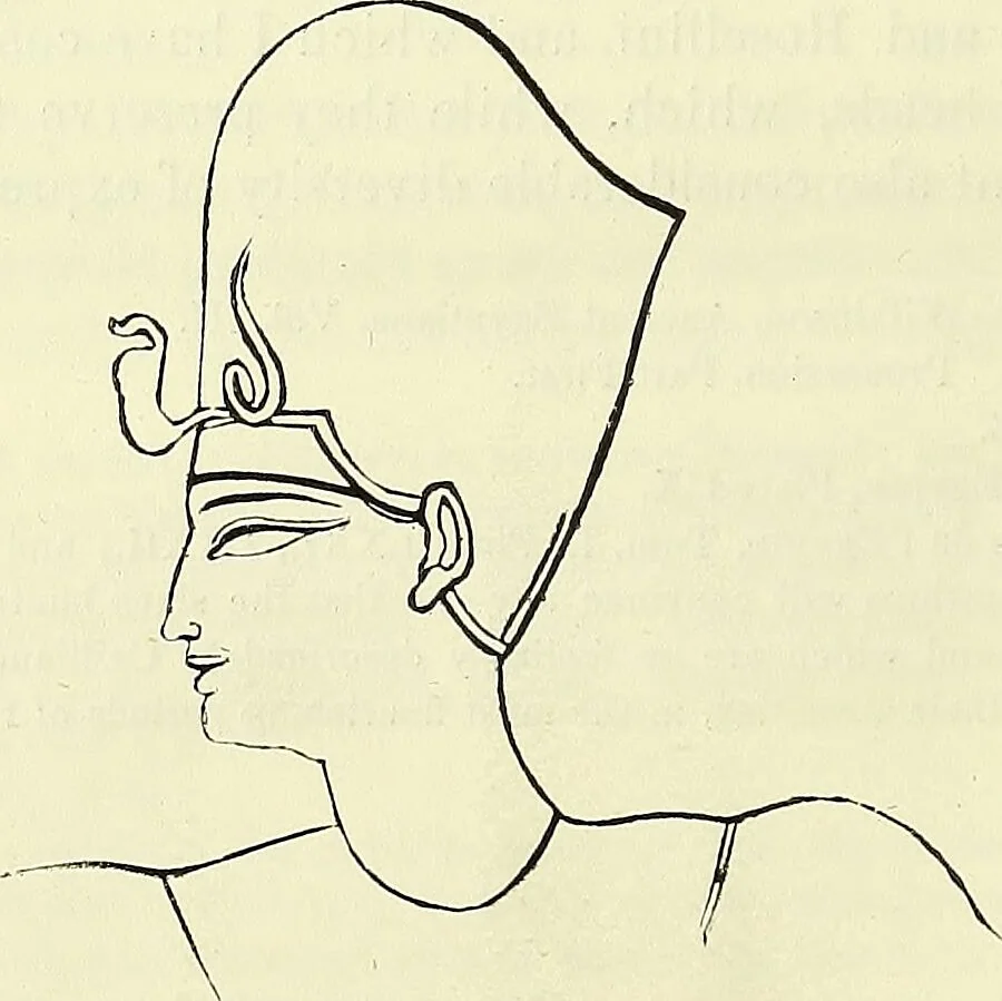 An illustration from Crania Aegyptiaca, or, Observations on Egyptian ethnography derived from anatomy, history and the monuments / by Samuel George Morton., 1844, leaf 70