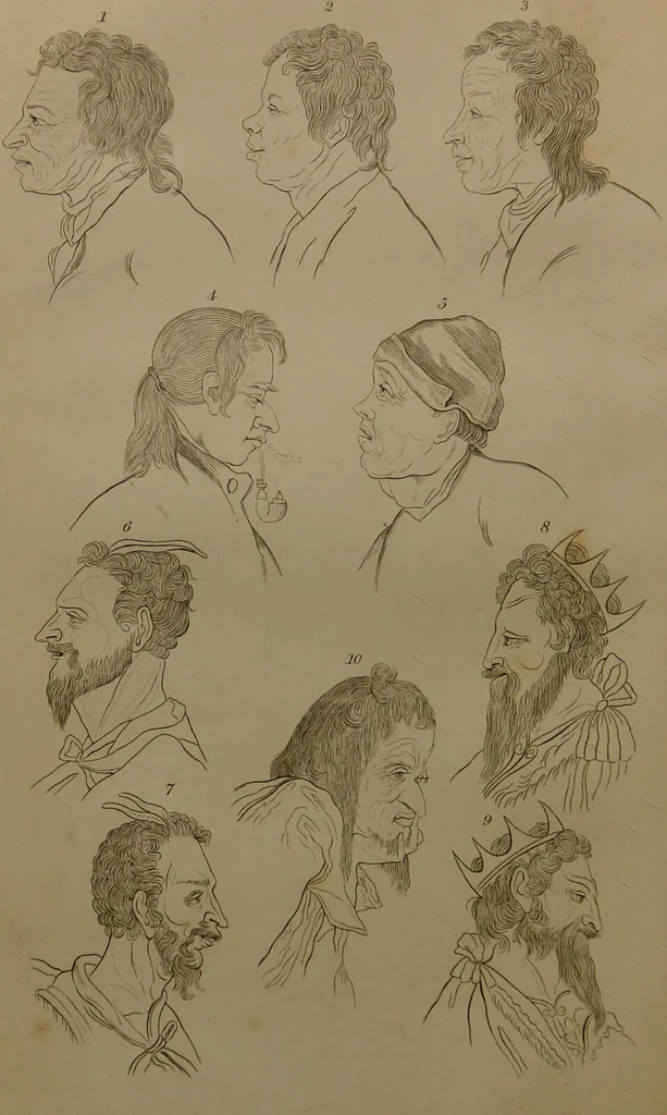 An illustration from Essays on physiognomy : designed to promote the knowledge and the love of mankind ... To which are added , one hundred physiognomonical rules, ... and memoirs of the life of the author / written by John Caspar Lavater., 1797, leaf 172