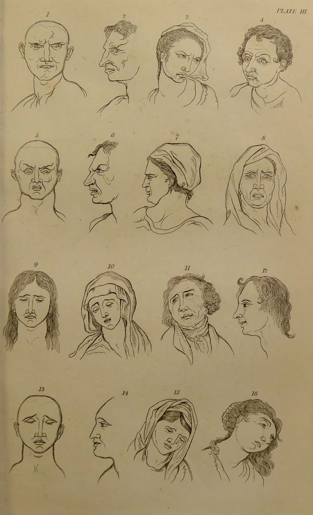 An illustration from Essays on physiognomy : designed to promote the knowledge and the love of mankind ... To which are added , one hundred physiognomonical rules, ... and memoirs of the life of the author / written by John Caspar Lavater., 1797, leaf 175