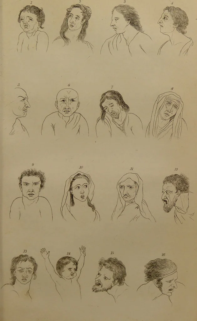 An illustration from Essays on physiognomy : designed to promote the knowledge and the love of mankind ... To which are added , one hundred physiognomonical rules, ... and memoirs of the life of the author / written by John Caspar Lavater., 1797, leaf 177