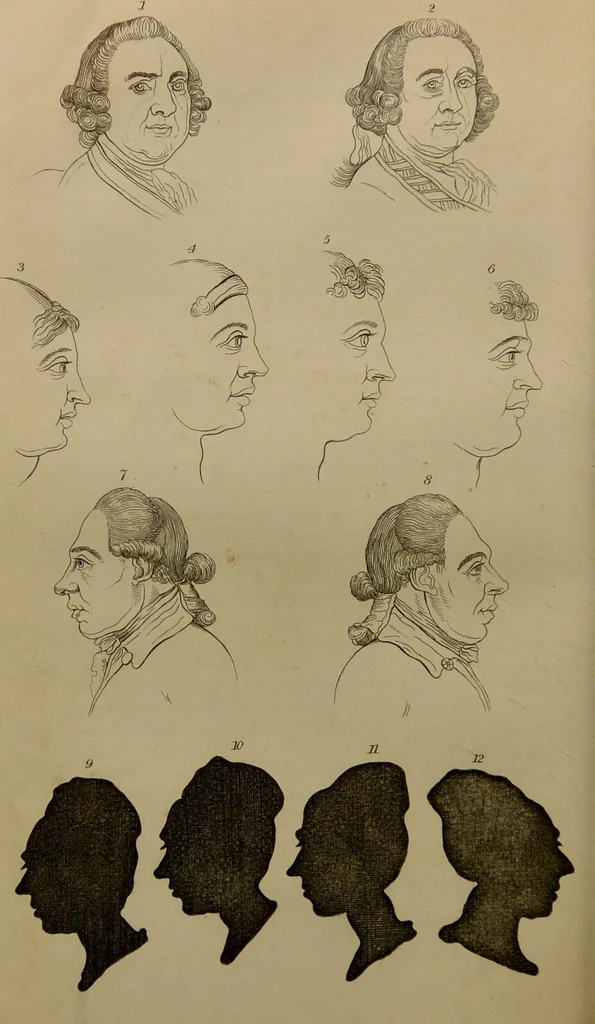 An illustration from Essays on physiognomy : designed to promote the knowledge and the love of mankind ... To which are added , one hundred physiognomonical rules, ... and memoirs of the life of the author / written by John Caspar Lavater., 1797, leaf 202