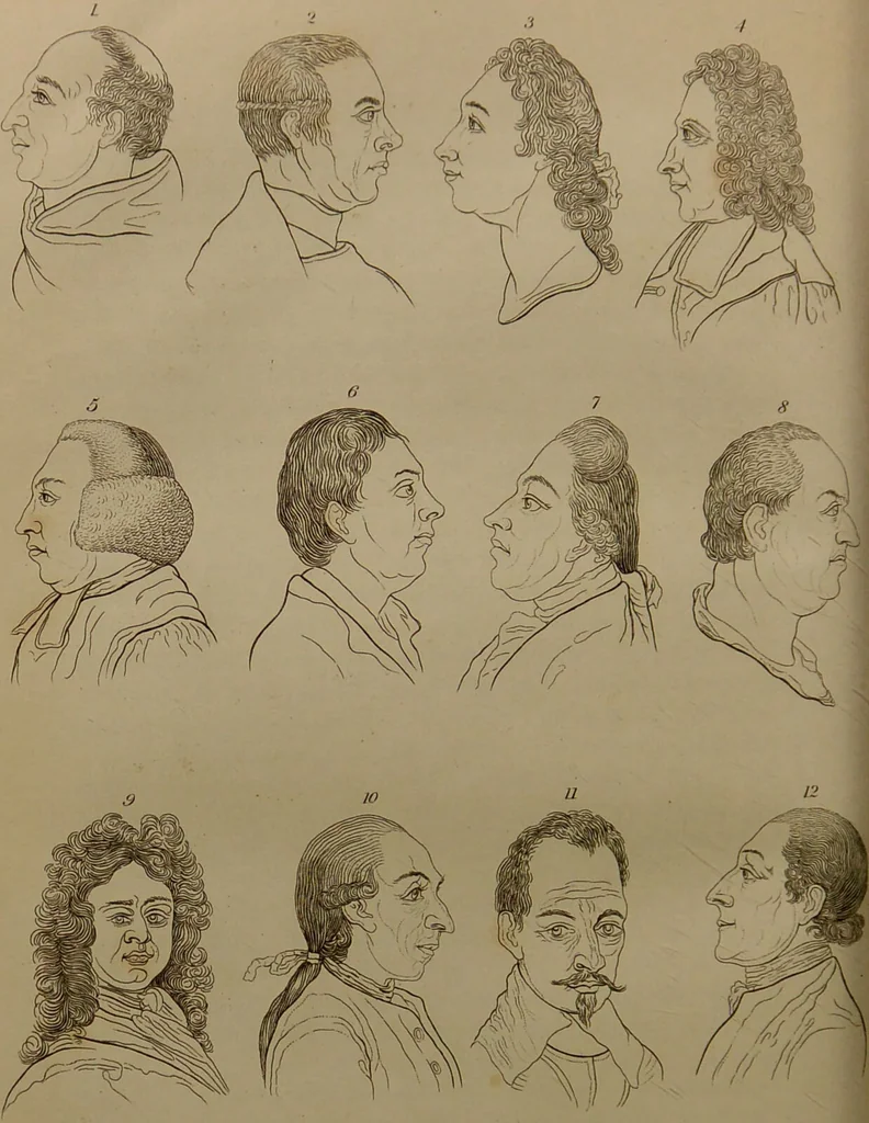 An illustration from Essays on physiognomy : designed to promote the knowledge and the love of mankind ... To which are added , one hundred physiognomonical rules, ... and memoirs of the life of the author / written by John Caspar Lavater., 1797, leaf 242