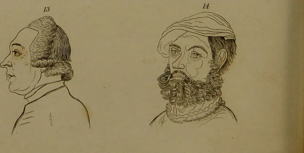 An illustration from Essays on physiognomy : designed to promote the knowledge and the love of mankind ... To which are added , one hundred physiognomonical rules, ... and memoirs of the life of the author / written by John Caspar Lavater., 1797, leaf 242