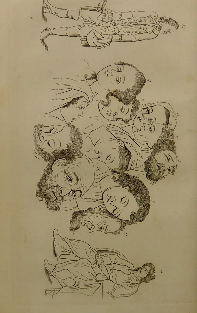 An illustration from Essays on physiognomy : designed to promote the knowledge and the love of mankind ... To which are added , one hundred physiognomonical rules, ... and memoirs of the life of the author / written by John Caspar Lavater., 1797, leaf 266