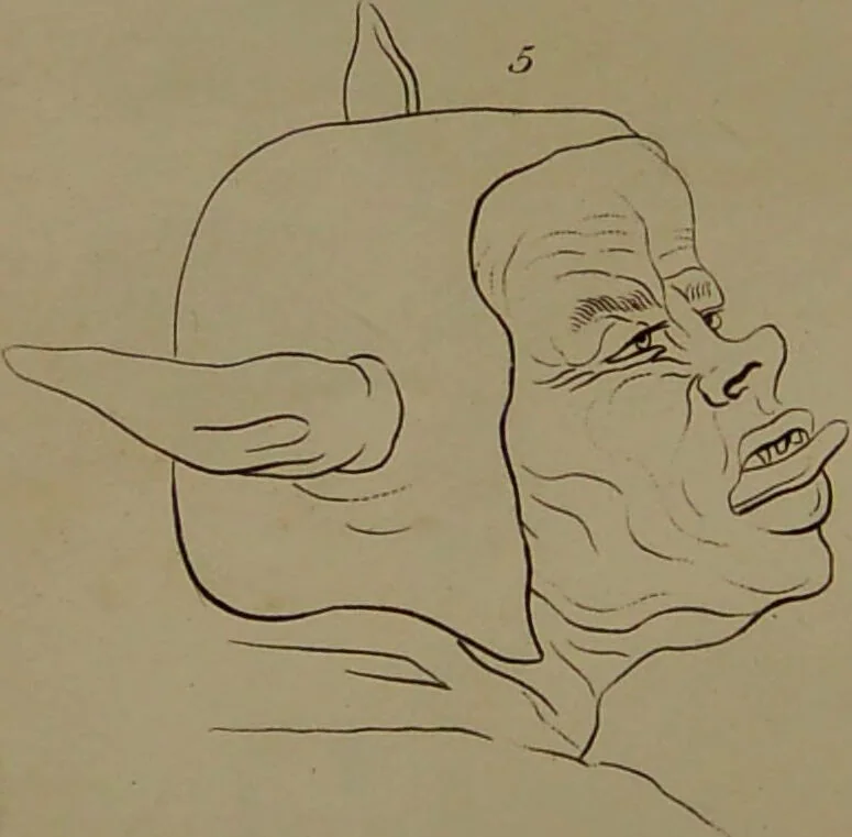 An illustration from Essays on physiognomy : designed to promote the knowledge and the love of mankind ... To which are added , one hundred physiognomonical rules, ... and memoirs of the life of the author / written by John Caspar Lavater., 1797, leaf 268