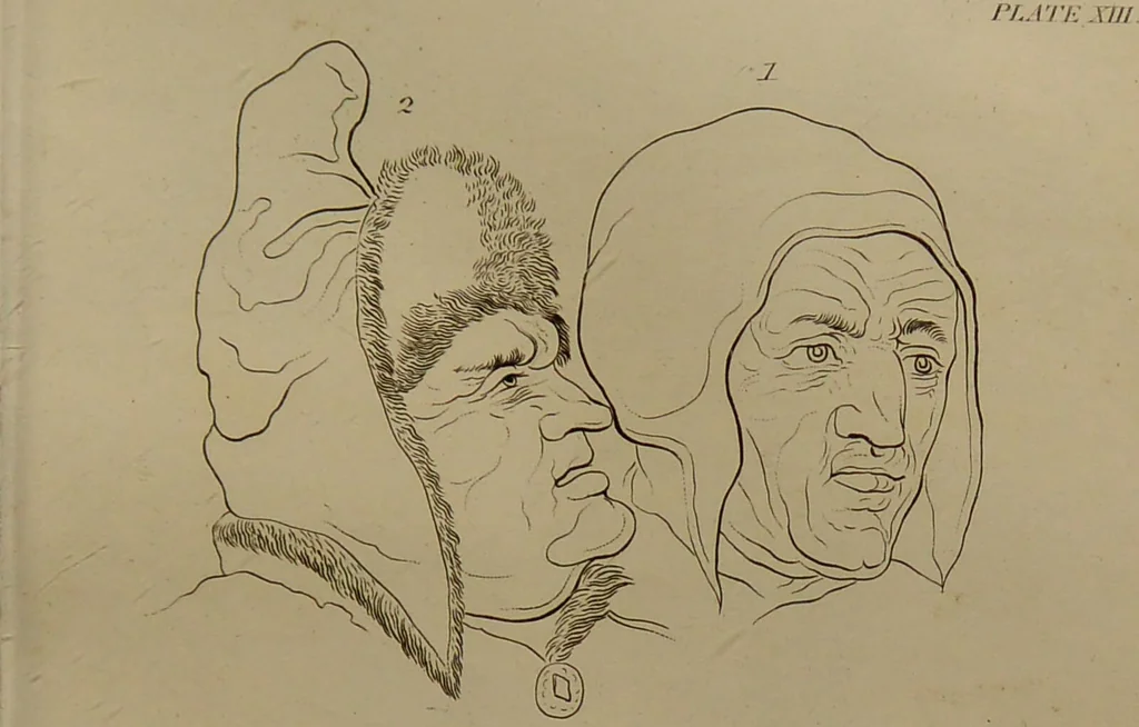 An illustration from Essays on physiognomy : designed to promote the knowledge and the love of mankind ... To which are added , one hundred physiognomonical rules, ... and memoirs of the life of the author / written by John Caspar Lavater., 1797, leaf 271