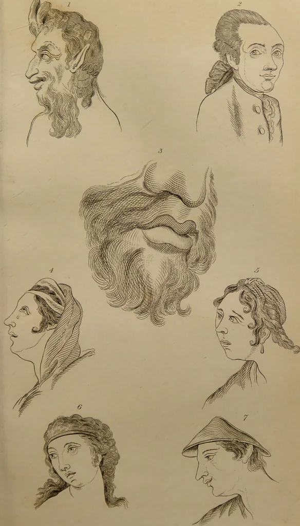 An illustration from Essays on physiognomy : designed to promote the knowledge and the love of mankind ... To which are added , one hundred physiognomonical rules, ... and memoirs of the life of the author / written by John Caspar Lavater., 1797, leaf 273