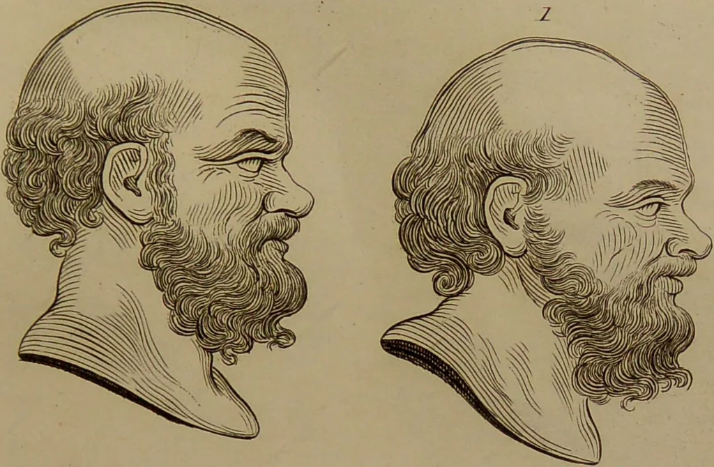 An illustration from Essays on physiognomy : designed to promote the knowledge and the love of mankind ... To which are added , one hundred physiognomonical rules, ... and memoirs of the life of the author / written by John Caspar Lavater., 1797, leaf 287