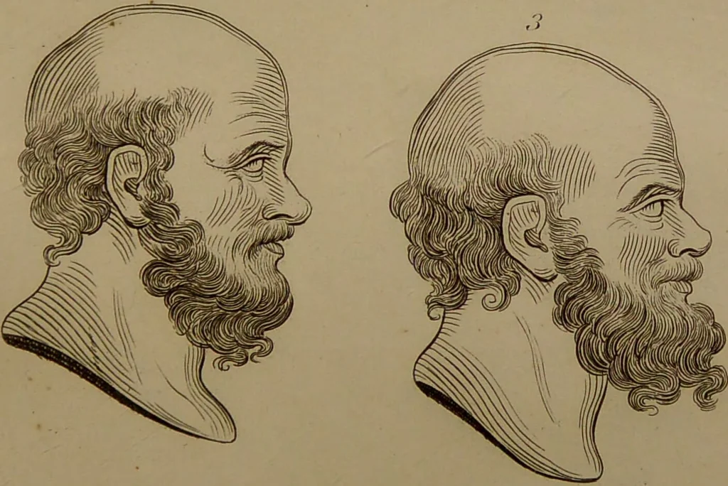 An illustration from Essays on physiognomy : designed to promote the knowledge and the love of mankind ... To which are added , one hundred physiognomonical rules, ... and memoirs of the life of the author / written by John Caspar Lavater., 1797, leaf 287