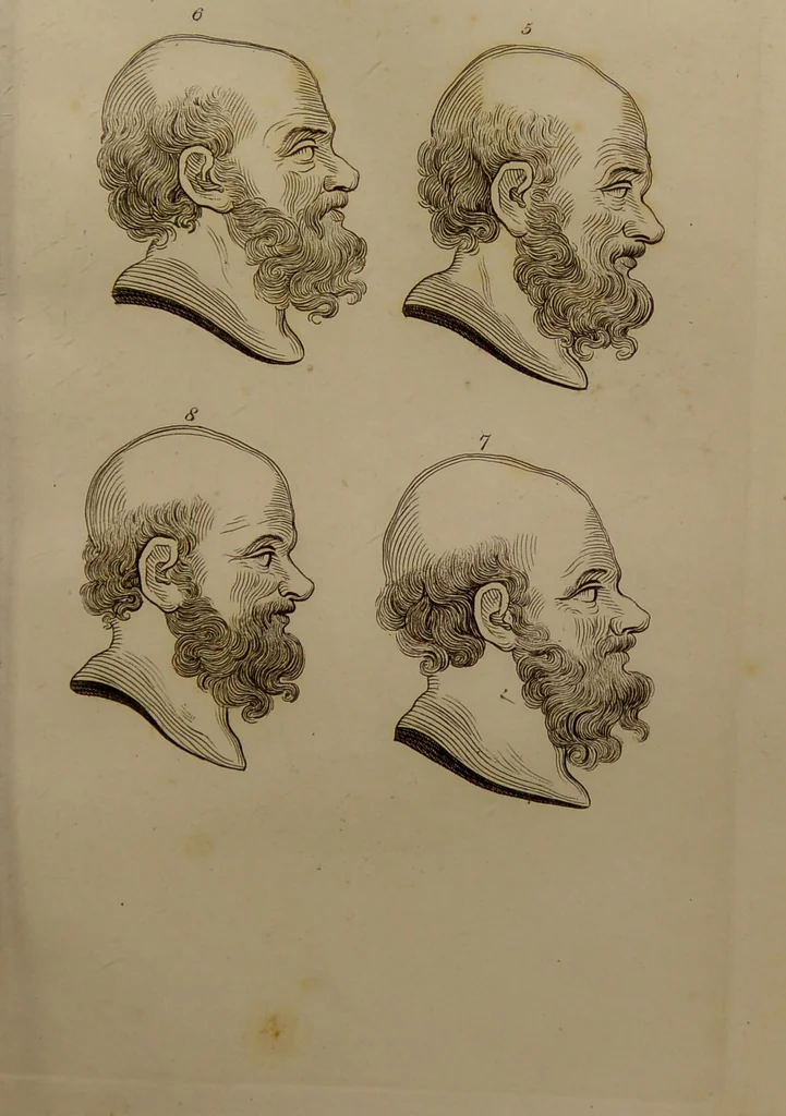 An illustration from Essays on physiognomy : designed to promote the knowledge and the love of mankind ... To which are added , one hundred physiognomonical rules, ... and memoirs of the life of the author / written by John Caspar Lavater., 1797, leaf 289