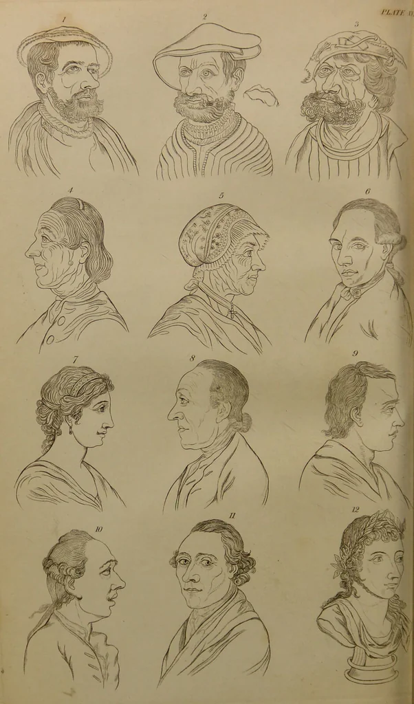 An illustration from Essays on physiognomy : designed to promote the knowledge and the love of mankind ... To which are added , one hundred physiognomonical rules, ... and memoirs of the life of the author / written by John Caspar Lavater., 1797, leaf 292