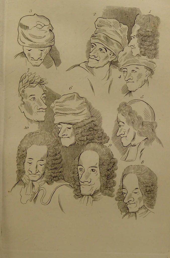An illustration from Essays on physiognomy : designed to promote the knowledge and the love of mankind ... To which are added , one hundred physiognomonical rules, ... and memoirs of the life of the author / written by John Caspar Lavater., 1797, leaf 295
