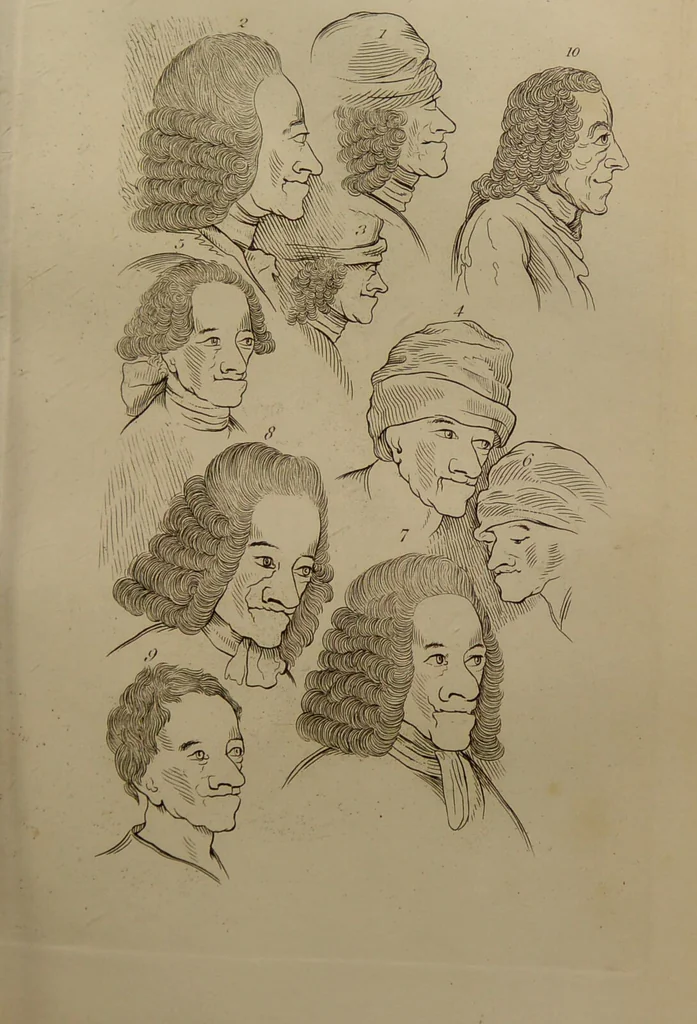 An illustration from Essays on physiognomy : designed to promote the knowledge and the love of mankind ... To which are added , one hundred physiognomonical rules, ... and memoirs of the life of the author / written by John Caspar Lavater., 1797, leaf 297