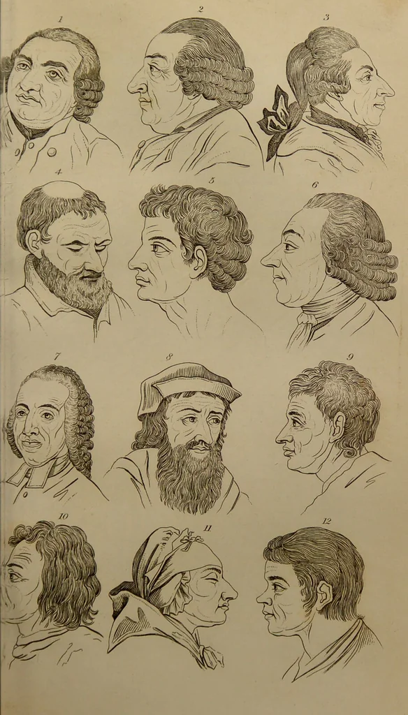 An illustration from Essays on physiognomy : designed to promote the knowledge and the love of mankind ... To which are added , one hundred physiognomonical rules, ... and memoirs of the life of the author / written by John Caspar Lavater., 1797, leaf 299