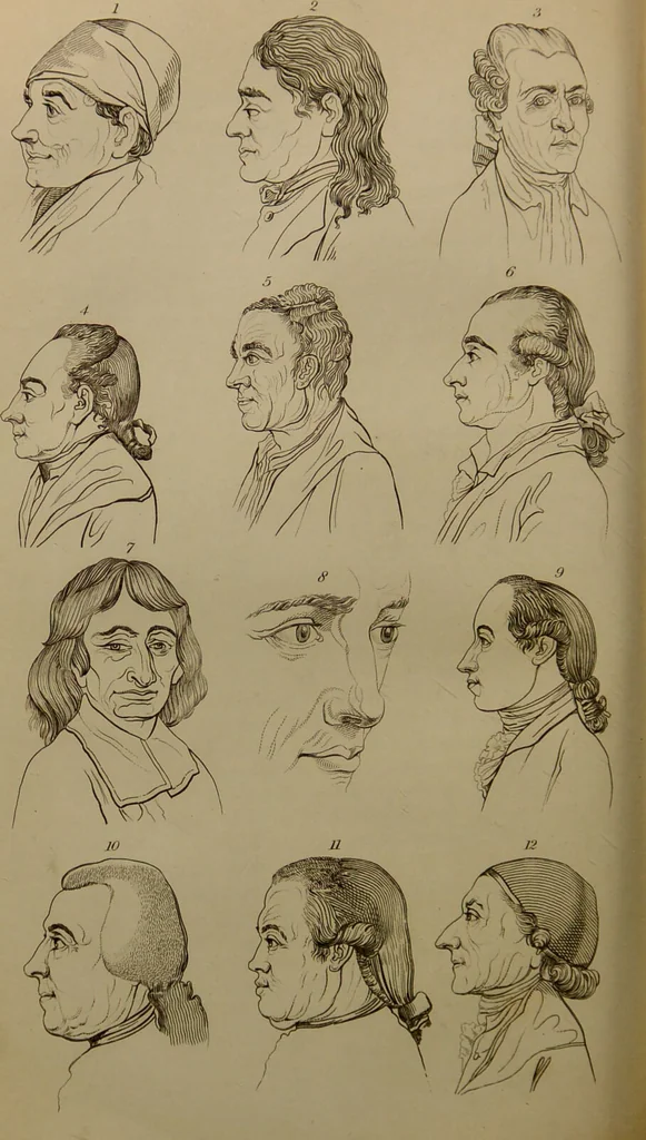 An illustration from Essays on physiognomy : designed to promote the knowledge and the love of mankind ... To which are added , one hundred physiognomonical rules, ... and memoirs of the life of the author / written by John Caspar Lavater., 1797, leaf 304