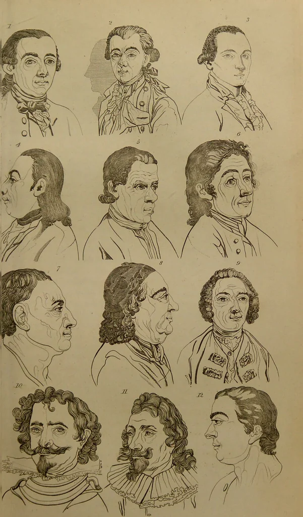 An illustration from Essays on physiognomy : designed to promote the knowledge and the love of mankind ... To which are added , one hundred physiognomonical rules, ... and memoirs of the life of the author / written by John Caspar Lavater., 1797, leaf 355