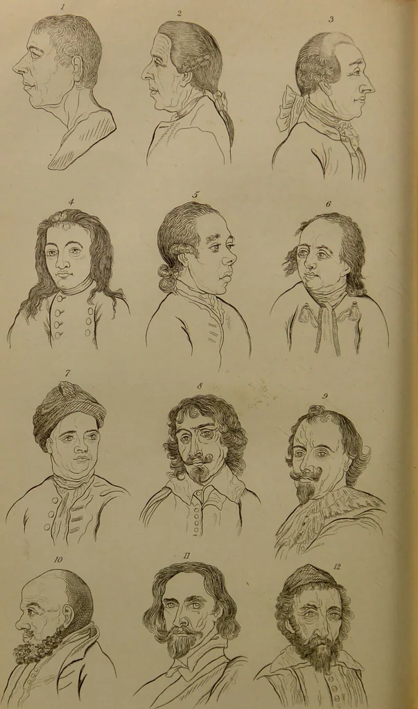 An illustration from Essays on physiognomy : designed to promote the knowledge and the love of mankind ... To which are added , one hundred physiognomonical rules, ... and memoirs of the life of the author / written by John Caspar Lavater., 1797, leaf 366