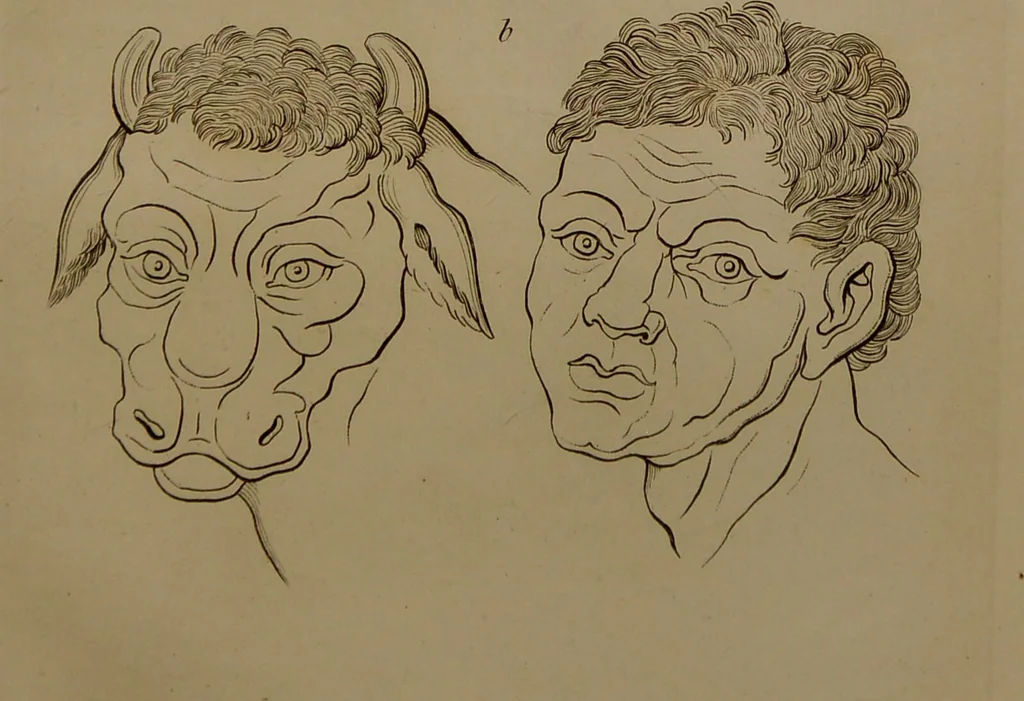 An illustration from Essays on physiognomy : designed to promote the knowledge and the love of mankind ... To which are added , one hundred physiognomonical rules, ... and memoirs of the life of the author / written by John Caspar Lavater., 1797, leaf 399