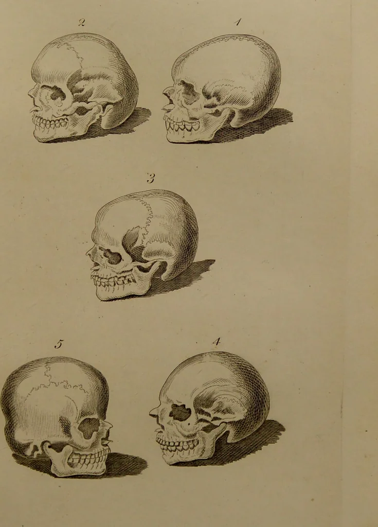 An illustration from Essays on physiognomy : designed to promote the knowledge and the love of mankind ... To which are added , one hundred physiognomonical rules, ... and memoirs of the life of the author / written by John Caspar Lavater., 1797, leaf 463